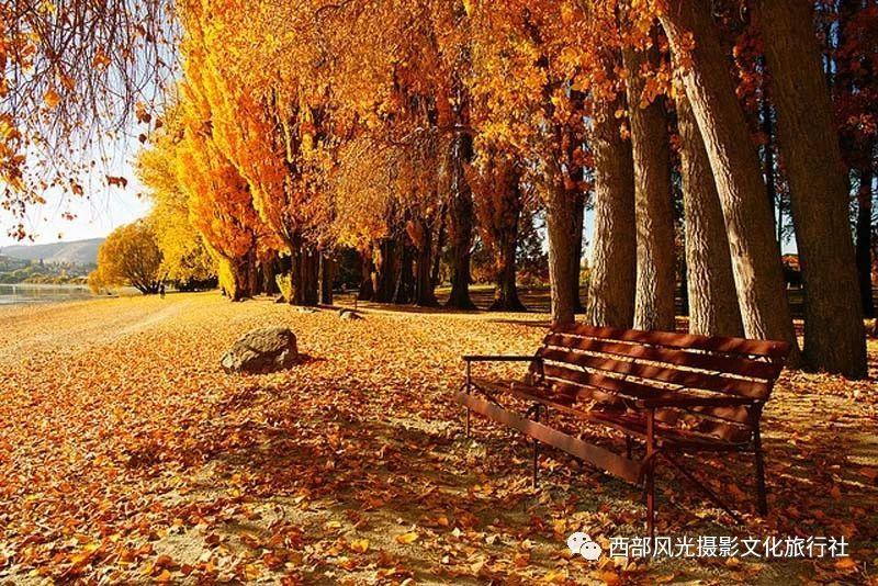 逗小猴开心系列188