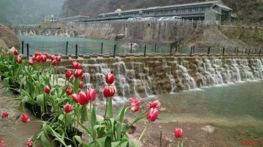 土耳其“放行”瑞典、北约北扩再进“半步”，欧洲安全风险加剧