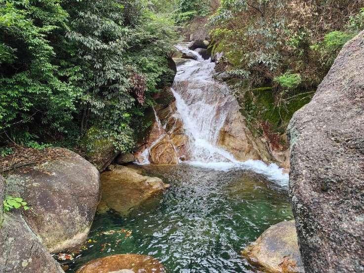 蛇吃金钥匙