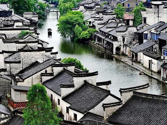拯救龙精灵