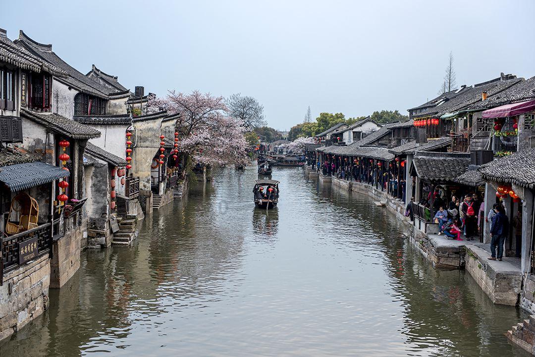 饥饿的松鼠救援